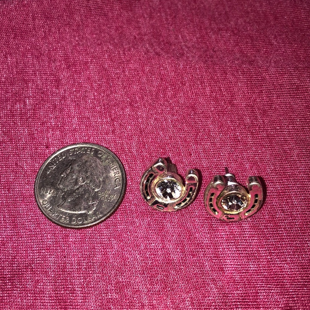 Horseshoe earrings with a diamond center